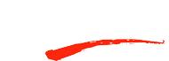Accelerated Fitness Gym - Company logo